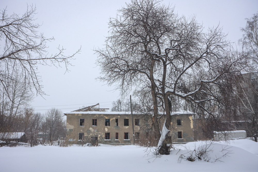 Фото: Ростислав Нетисов, nsknews.info