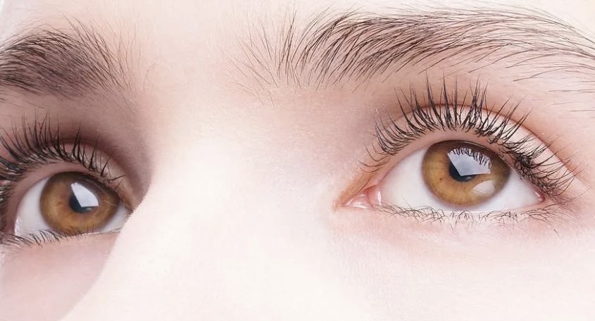 Пример естественных ресничек средней густоты.