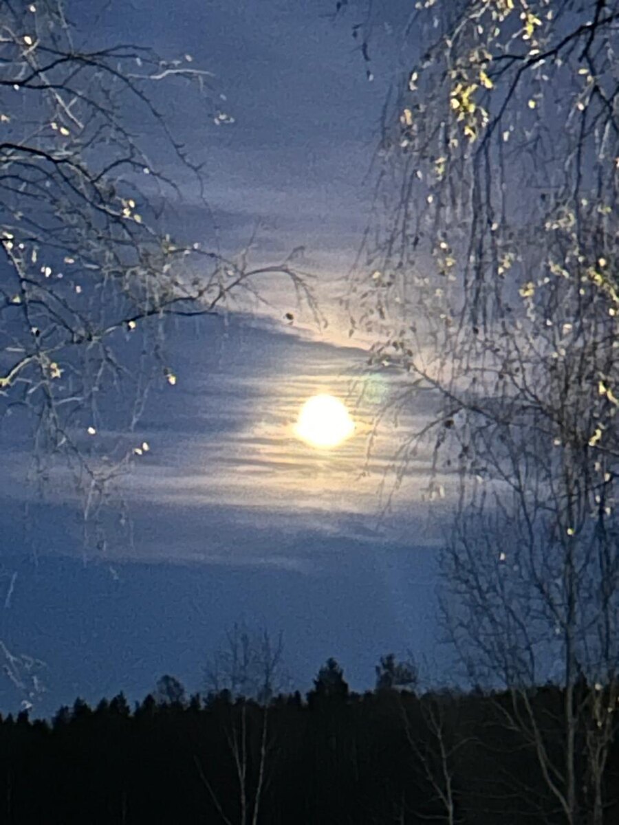 Свердловская область, зима 2025