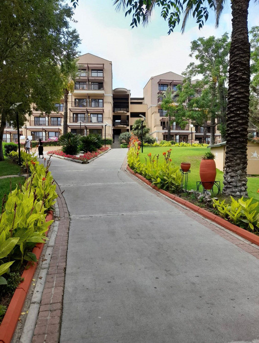 Елена Прекрасная, автор отзыва