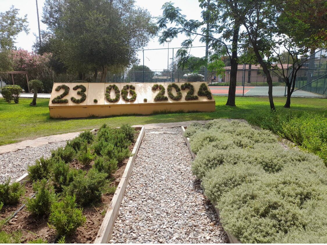 Елена Прекрасная, автор отзыва