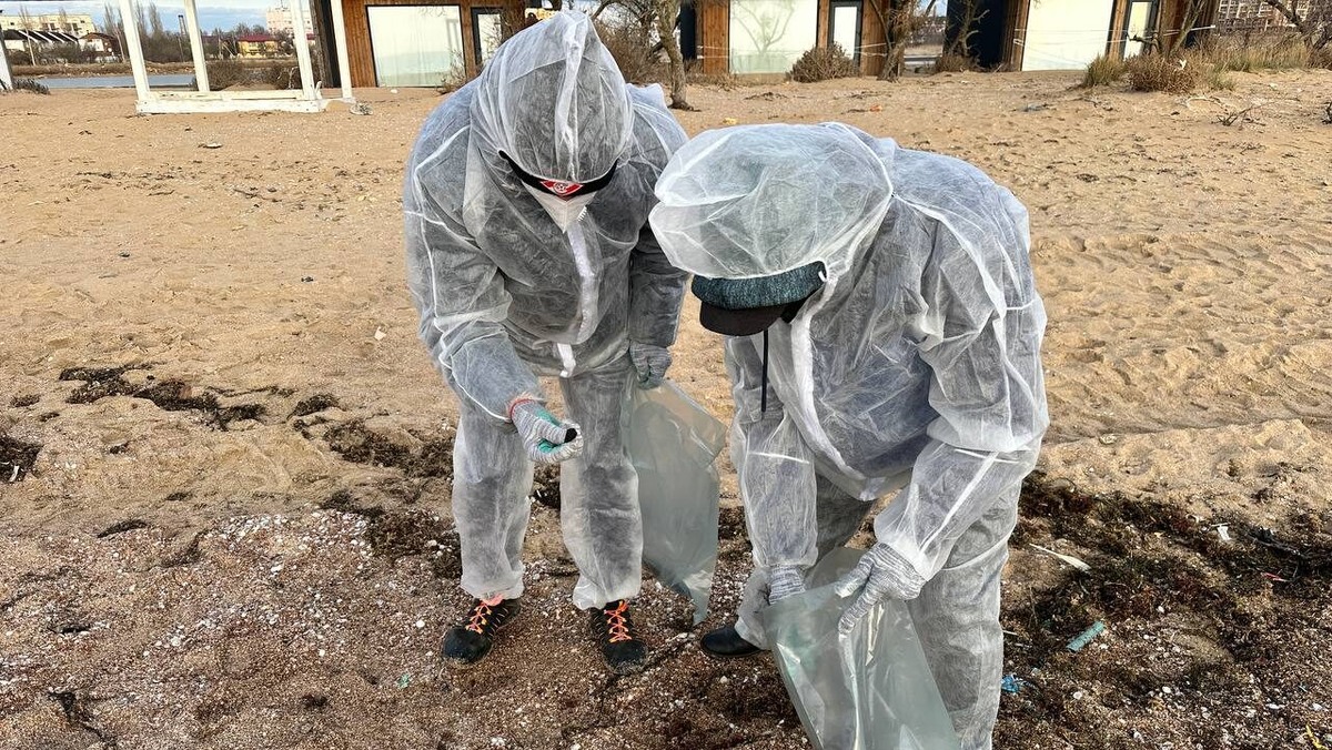    Очистка побережья. Фото: Пресс-служба администрации города Евпатория и Добро.Центр города Евпатории