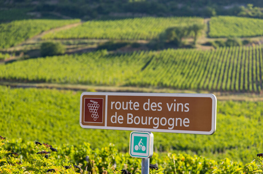 Источник - www.decanter.com