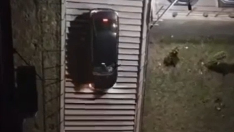      Фото: ГУ МВД по СК