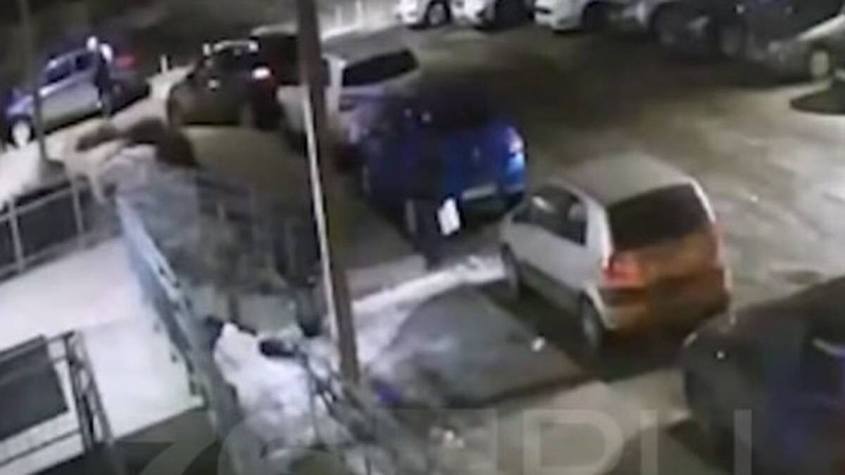    Фото: Скриншот видео Telegram-канала 76.ru