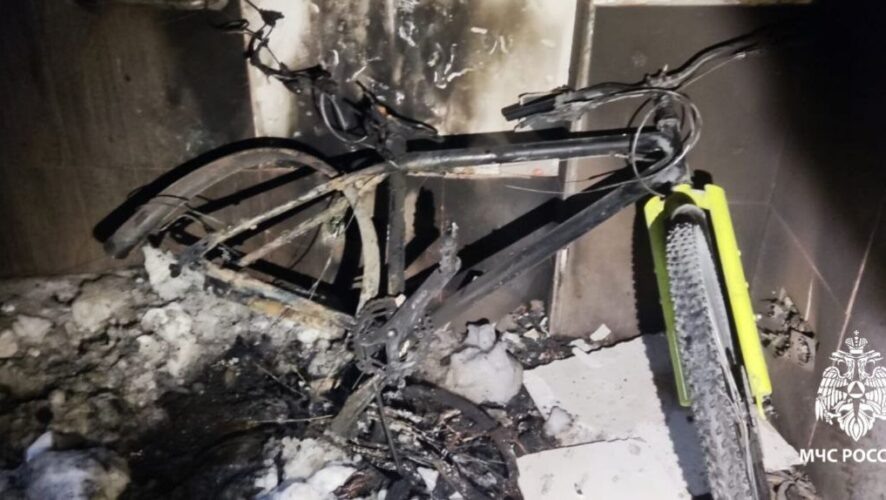    Фото: ГУ МЧС России по РТ