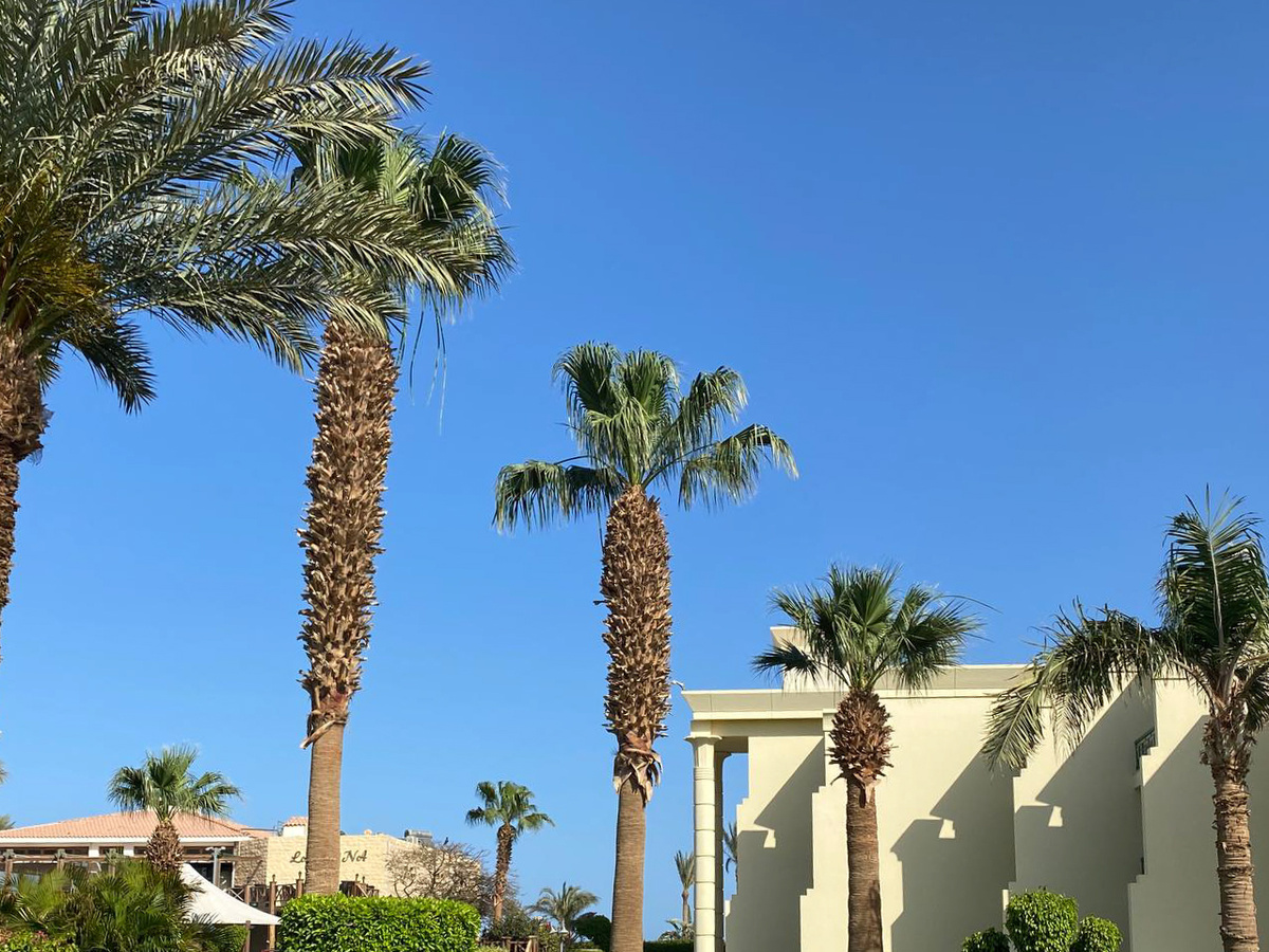 Сообщается, что скоро их вернут домой.  Фото: Фото: ФедералПресс / Анастасия Алимпиева