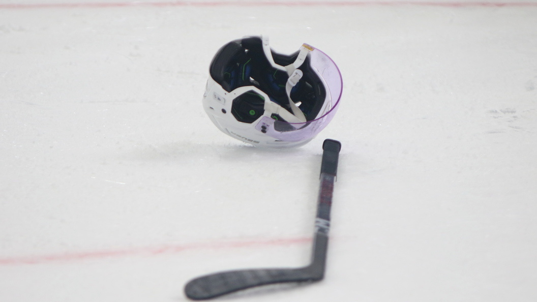    фото: Maksim Konstantinov/Globallookpress