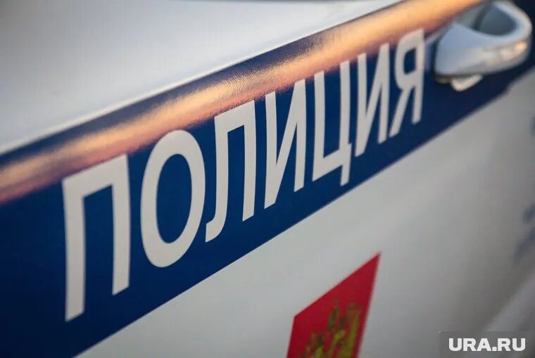 За оскорбление полицейских, порчу имущества и хулиганство девушке грозит до 17 лет лишения свободы. Фото: Илья Московец © URA.RU