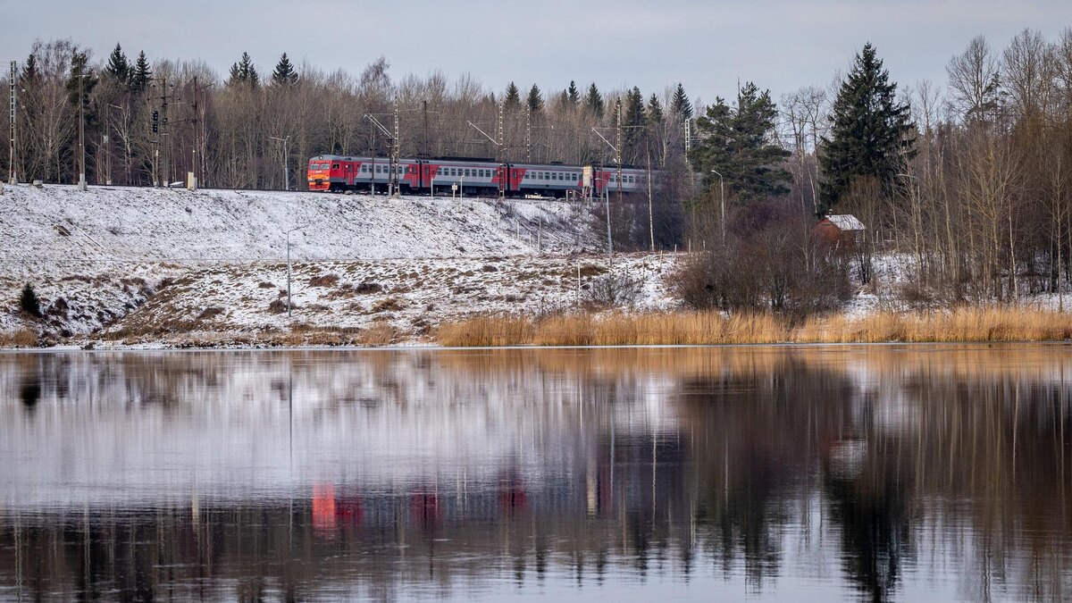    Фото: vk.com/ozd_official