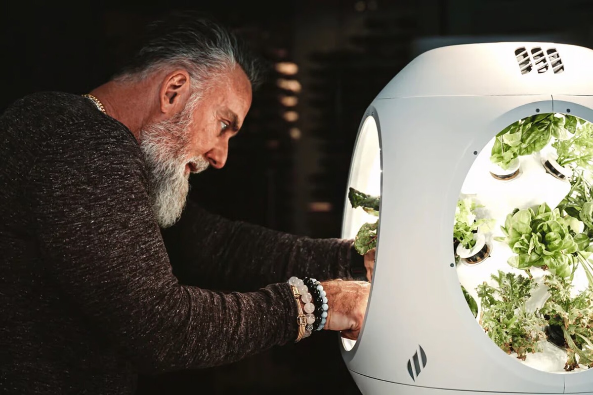 Фото: Plantaform