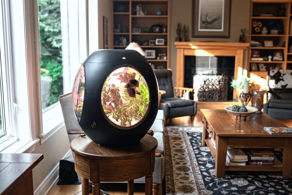 Фото: Plantaform