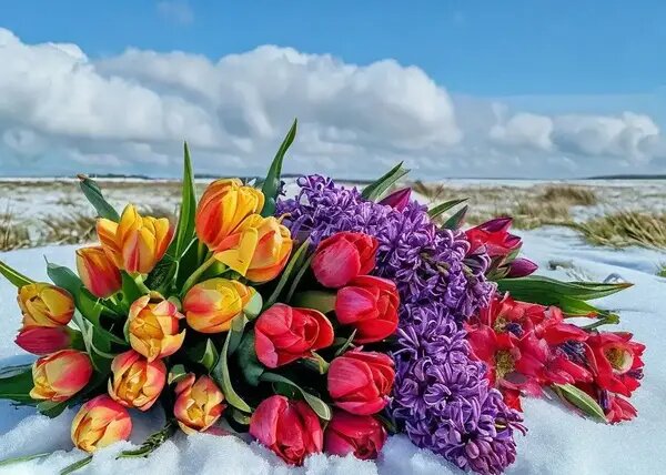   Свежие зимние цветы от AzaliaNow Мария Казённова