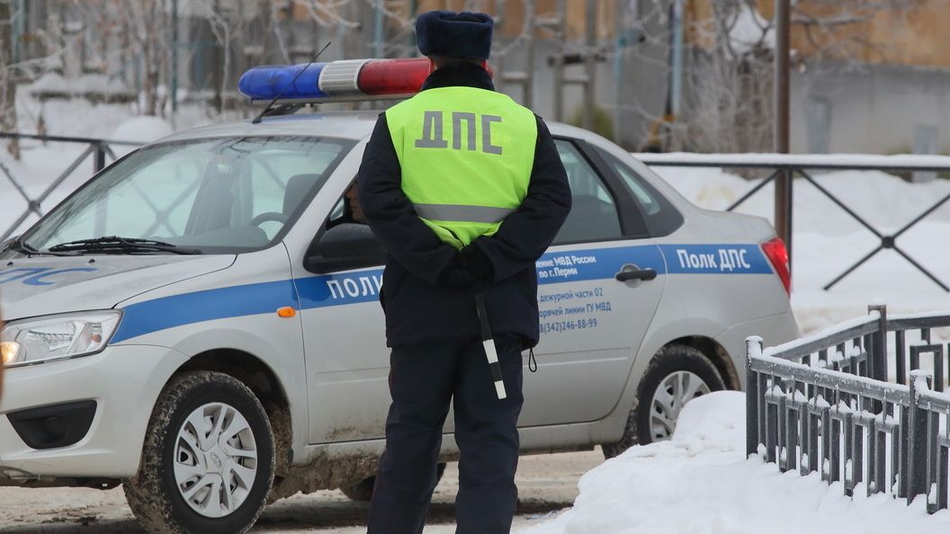    Zamir Usmanov/Global Look Press/Globallookpress