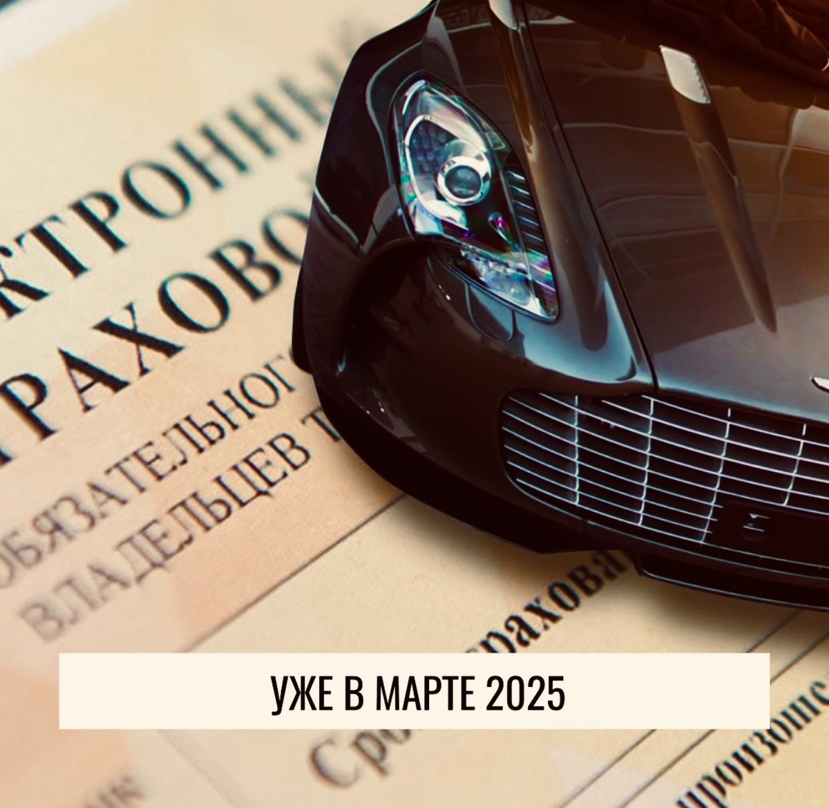 УЖЕ В МАРТЕ 2025 ГОДА ДОРОЖНЫЕ КАМЕРЫ НАЧНУТ ПРОВЕРЯТЬ НАЛИЧИЕ ОСАГО