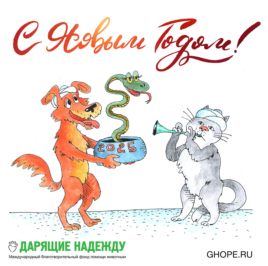 Рисунок Алексея Сомова