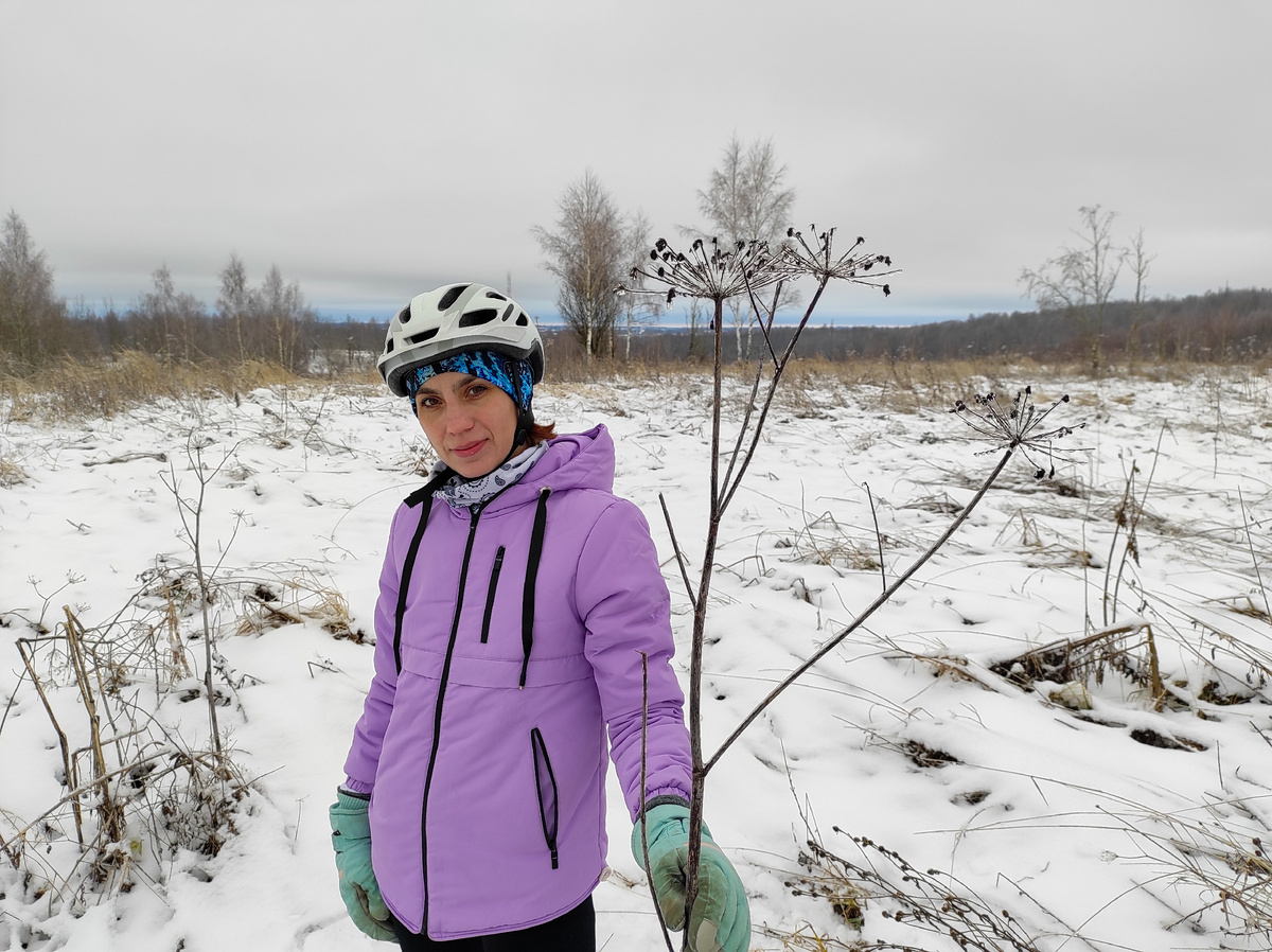 Немного зимняя погода. Листайте галерею