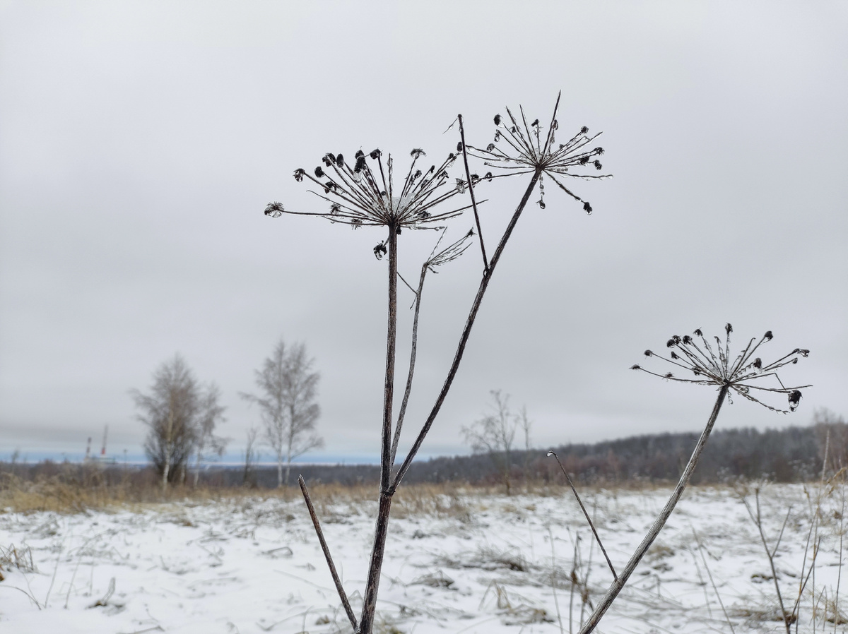 Немного зимняя погода