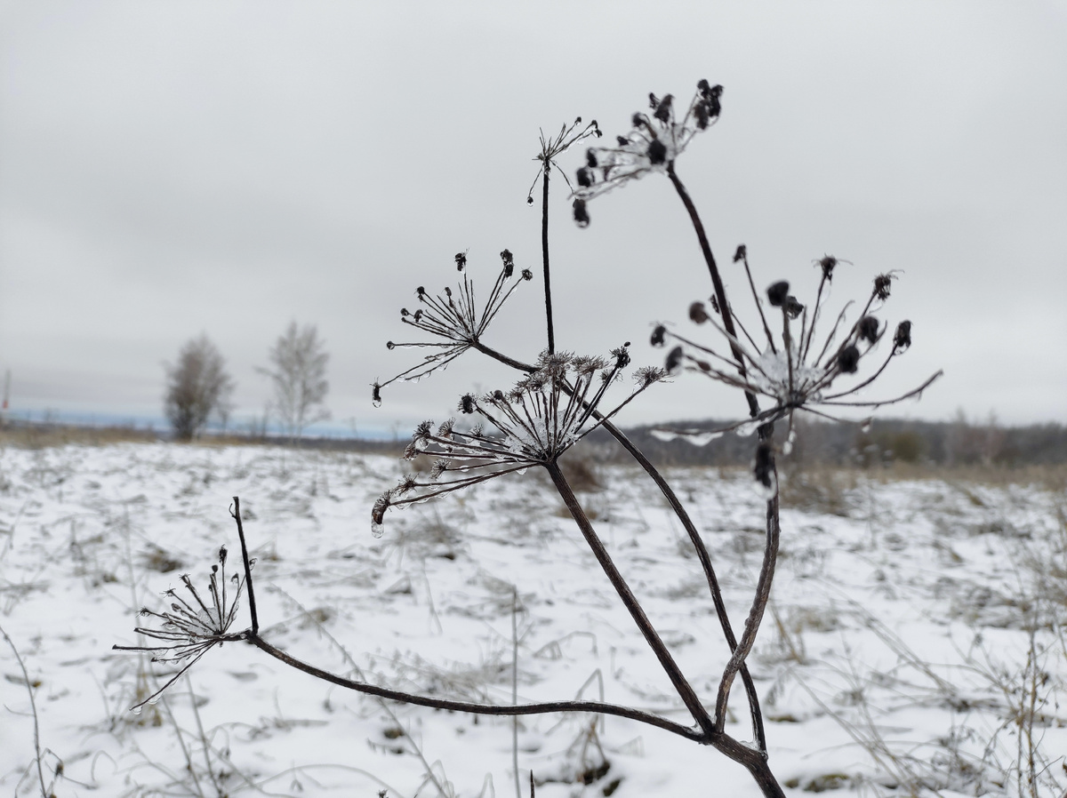 Немного зимняя погода