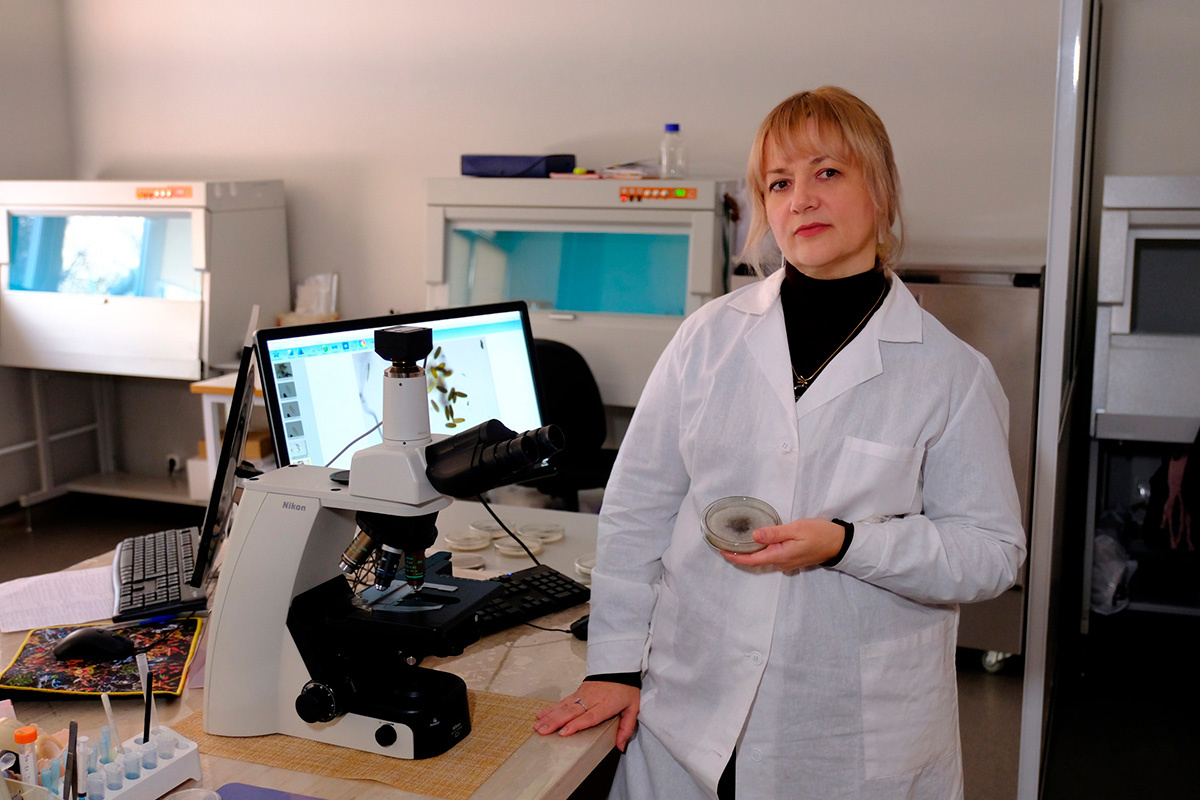 Красноярский научный центр СО РАН📷Ведущий научный сотрудник Института леса им. В.Н. Сукачева СО РАН доктор биологических наук Юлия Литовка