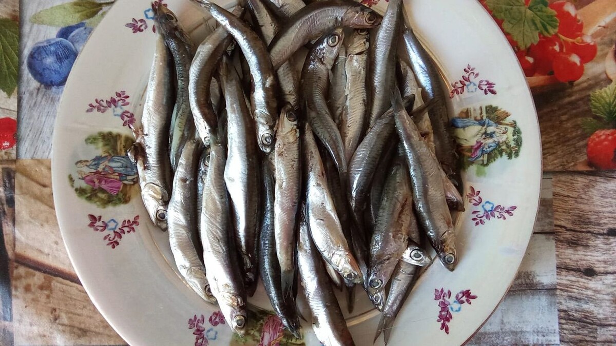    Фото: телеканал «Краснодар»