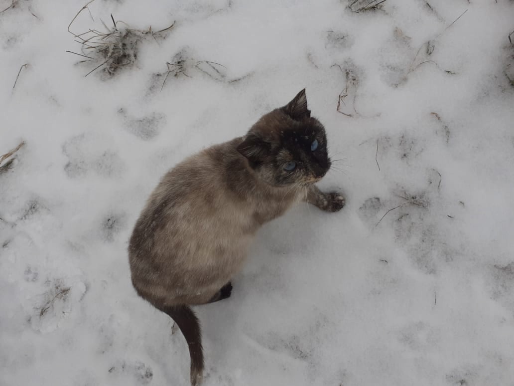 На улице в опасности.