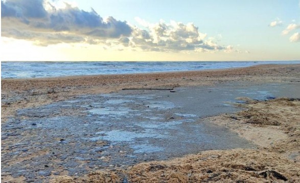  Волонтеры, убирающие мазут с берегов Черного моря, бьют тревогу