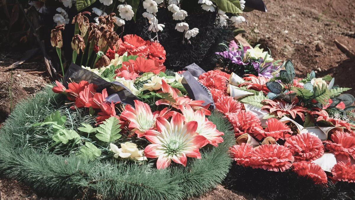     Источник: 1MI