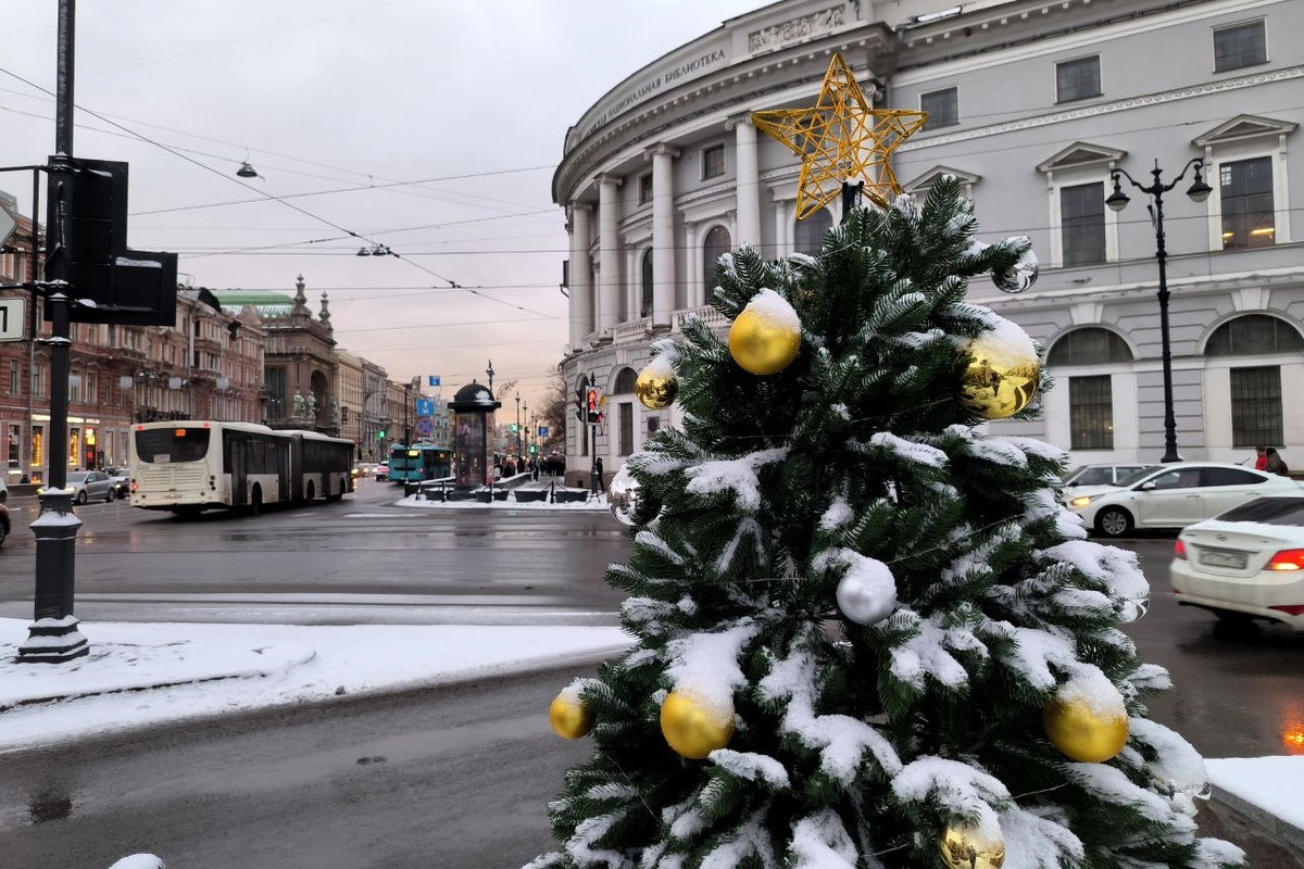 Фото: Global Look Press 