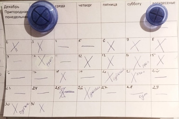 Заполняемость в декабре 2024 года квартира №3.