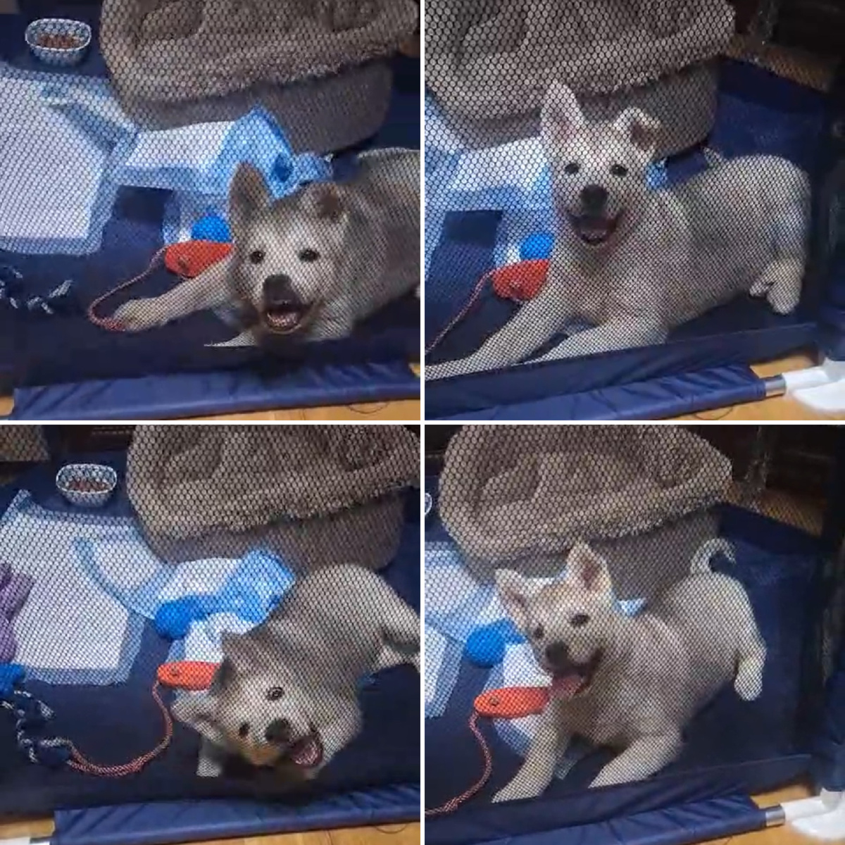 Севиль жжет ;)