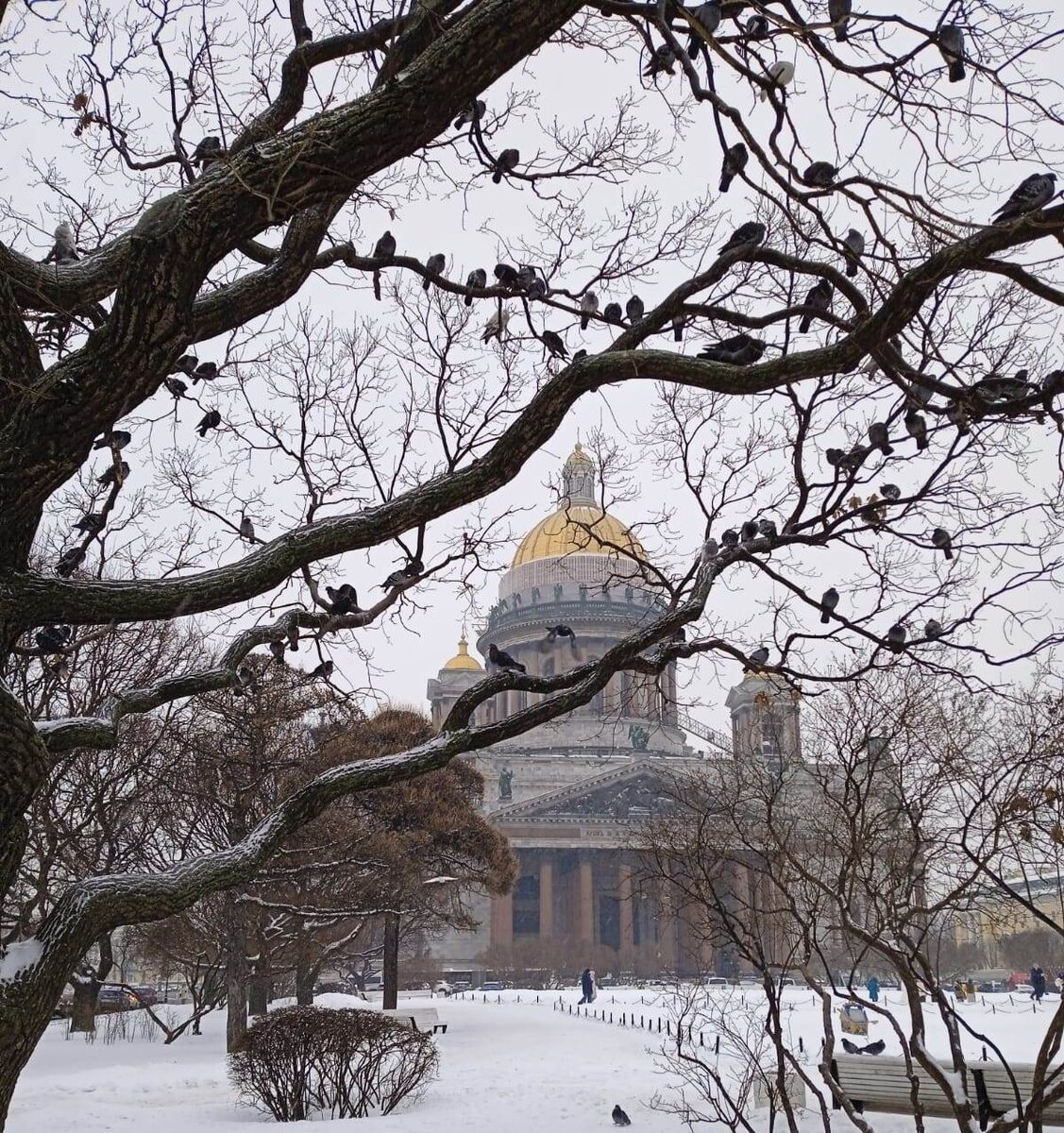 Исаакиевский Собор в Санкт-Петербурге. Фото Kati sAz