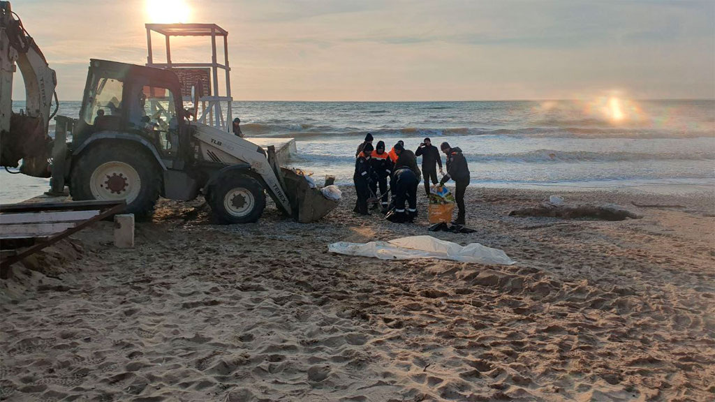    Фото: тг-канал губернатора Севастополя Михаила Развозжаева