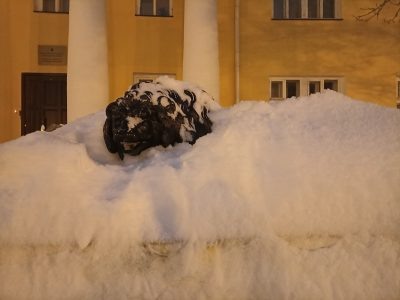    Фото: Светлана Прохорова