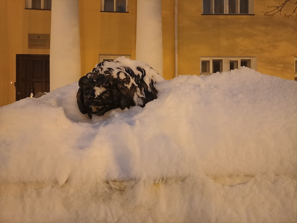    Фото: Светлана Прохорова