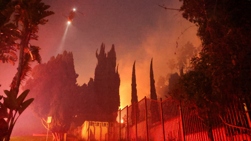    Фото: Reuters/David Swanson; 5-tv.ru