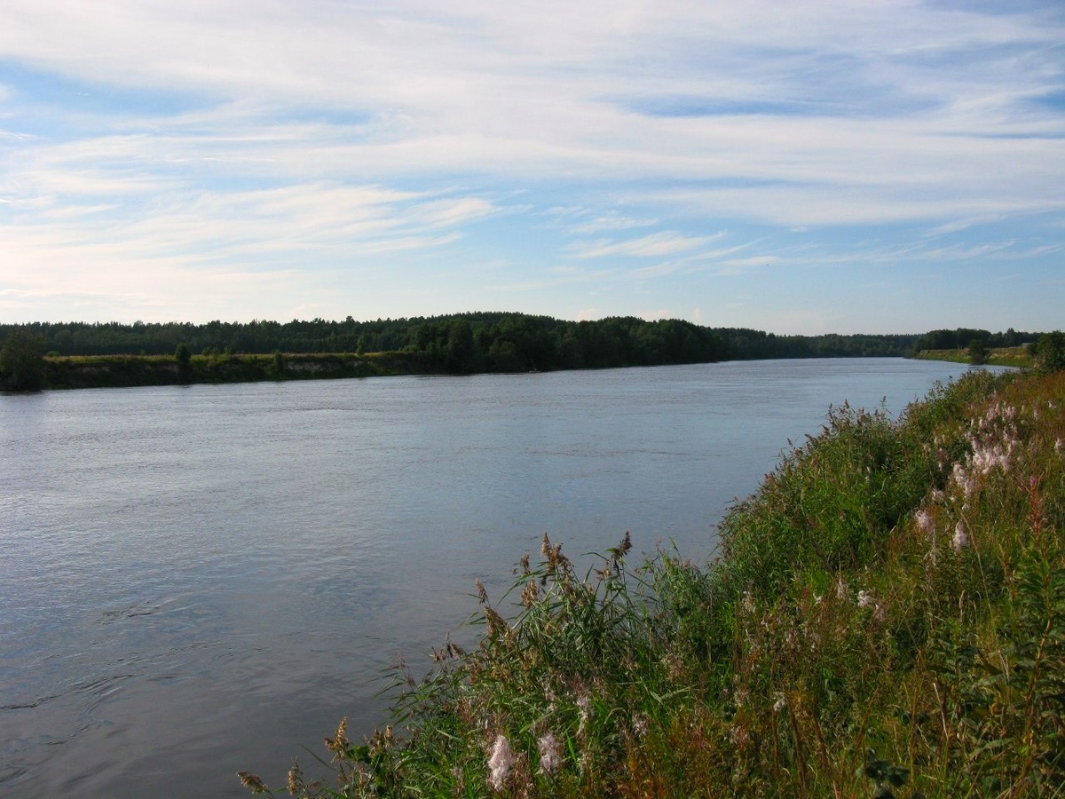 Река Бурная в полях.