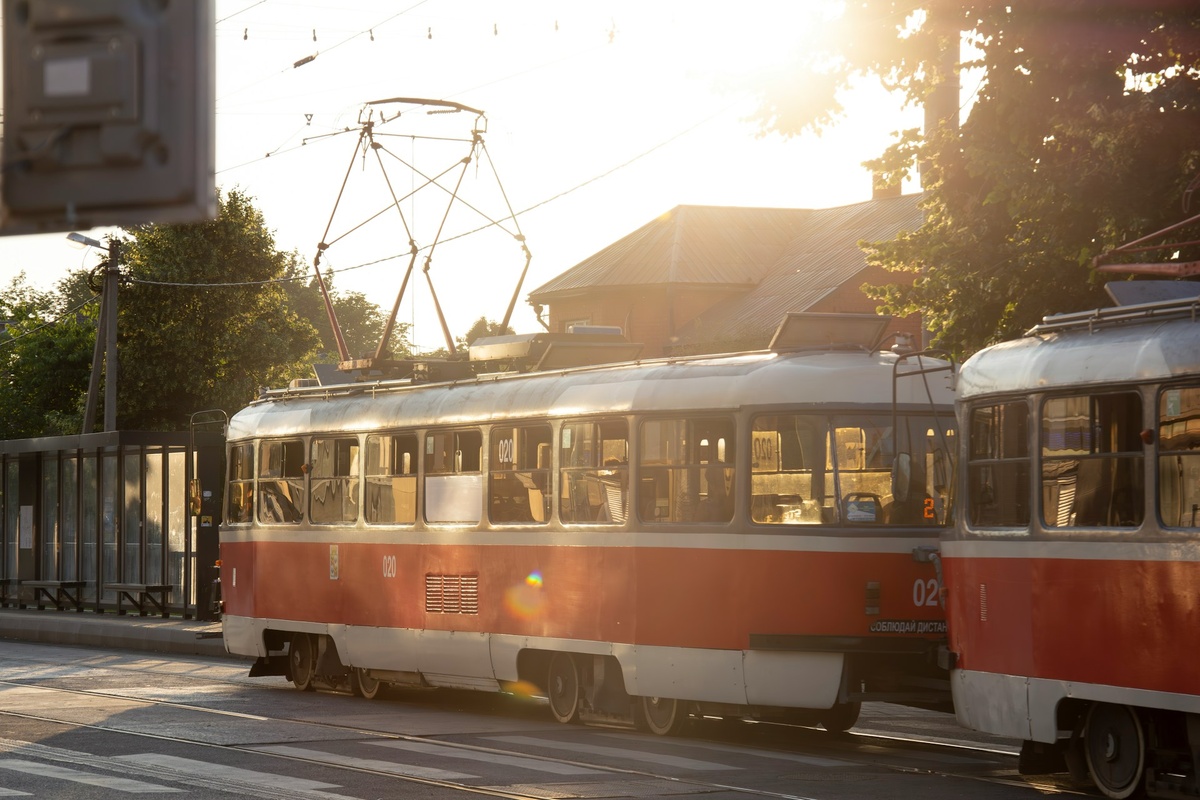 Фото: Александр Тимофеев / Unsplash