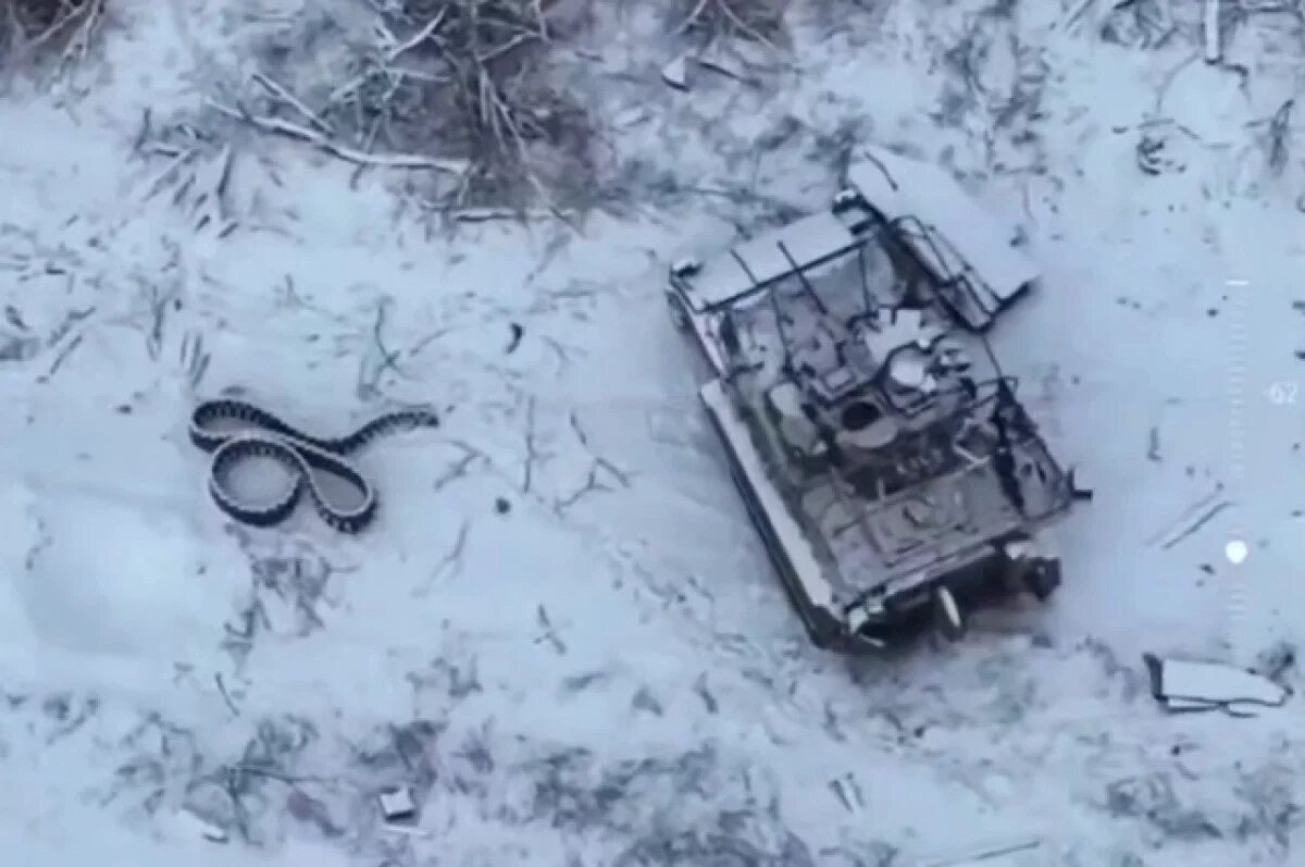    Российский дрон уничтожил БМП Bradley в Курской области