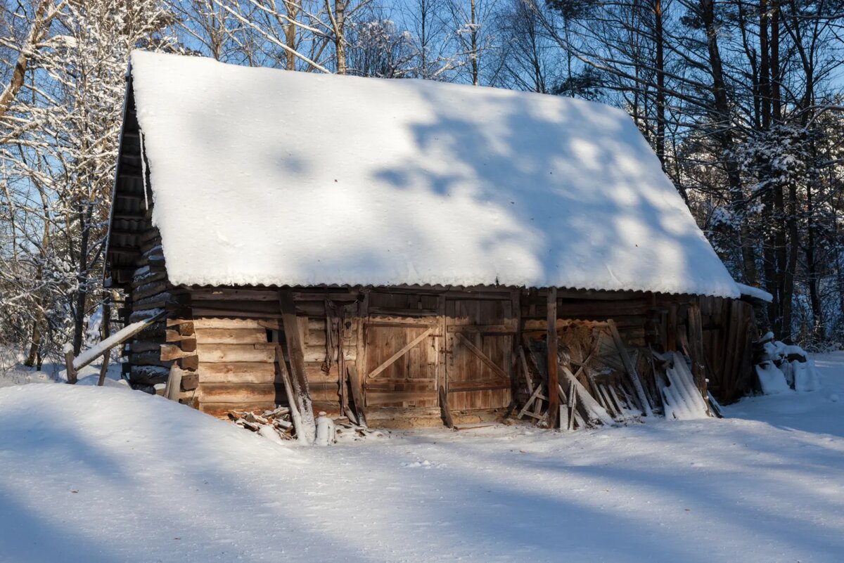 @rsooll / freepik.com