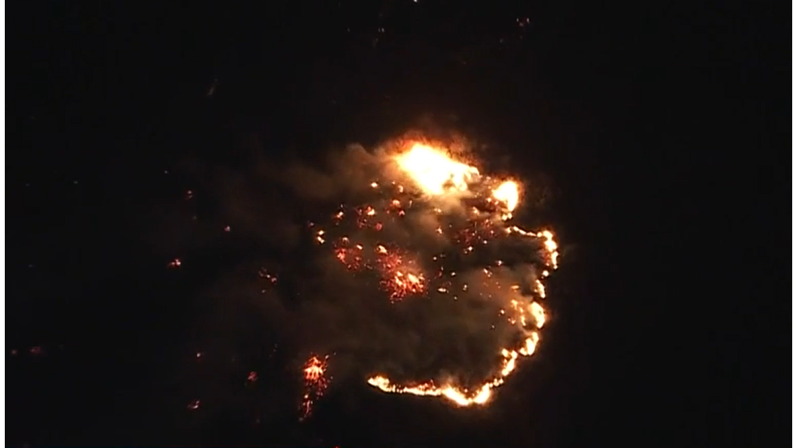 Фото: эфир CBS News / cbsnews.com