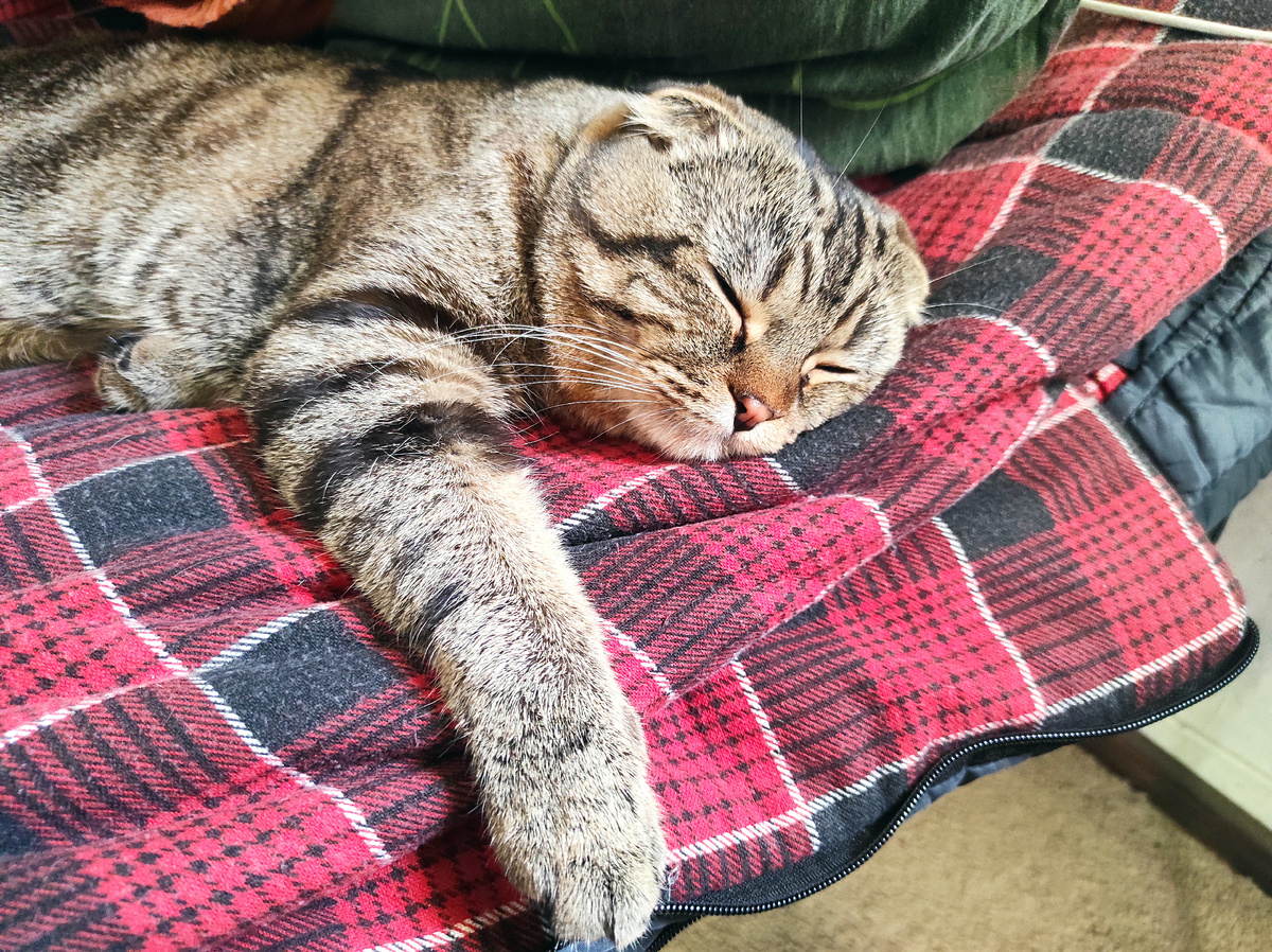 На свежем воздухе и сон другой 