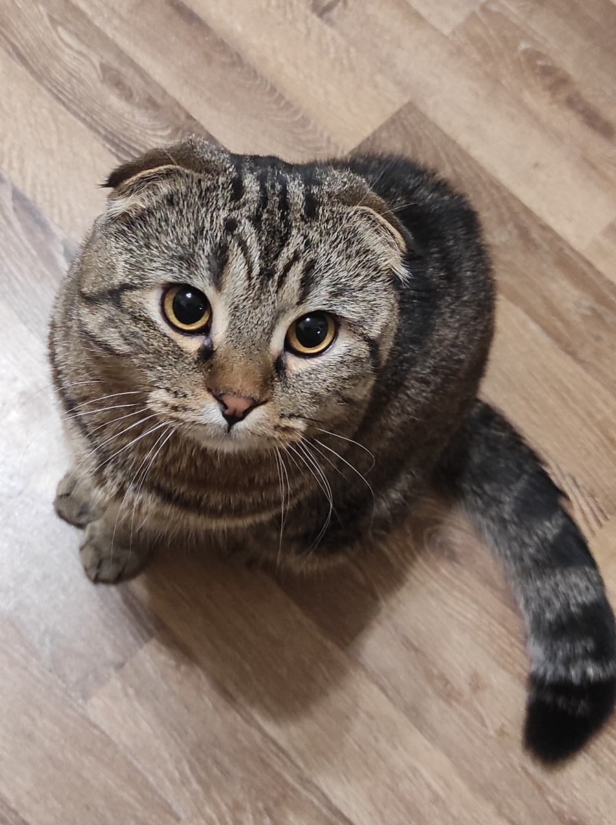 Говорящий взгляд 