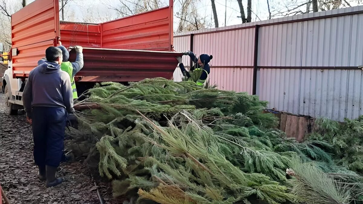     Автор: ООО «ЖКХ»