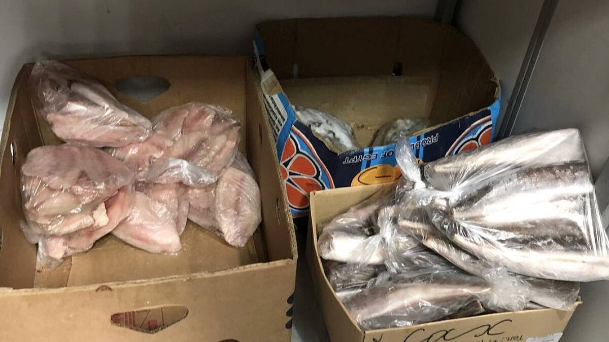    Фото: пресс-служба Южного межрегионального управления Россельхознадзора