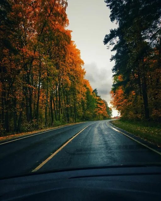 Из открытого доступа