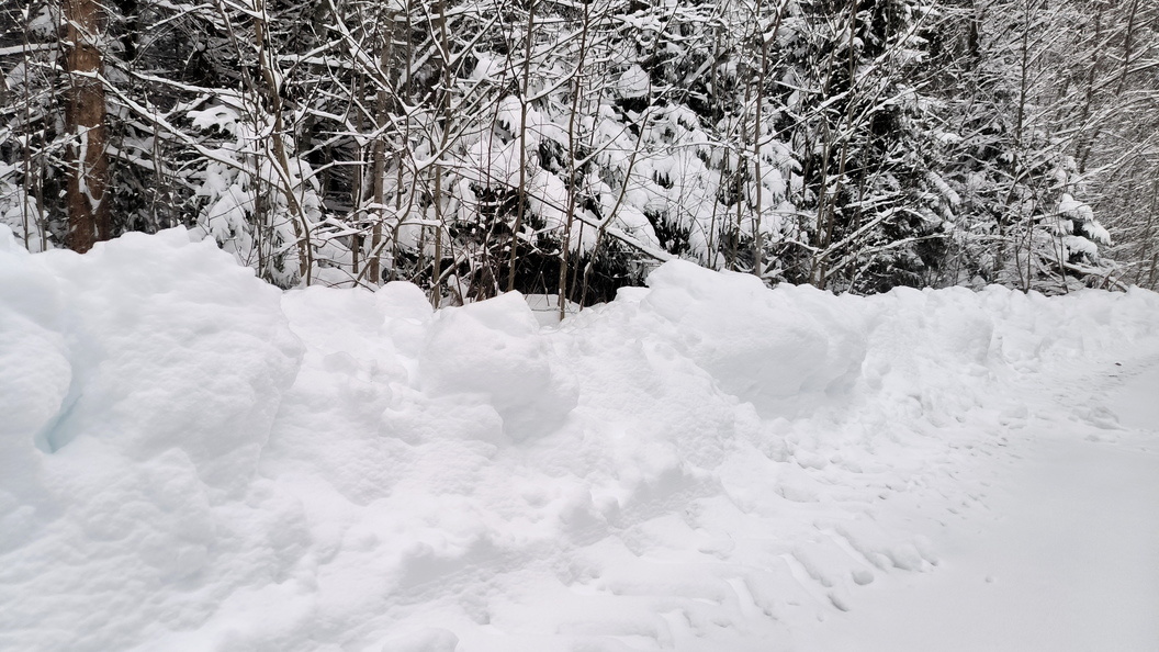    Фото: Maksim Konstantinov/Globallookpress