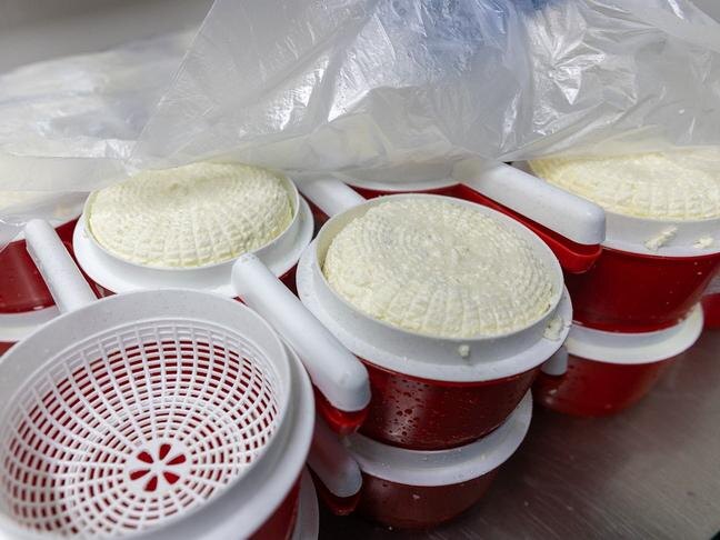 Фото: Алексей Дацковский