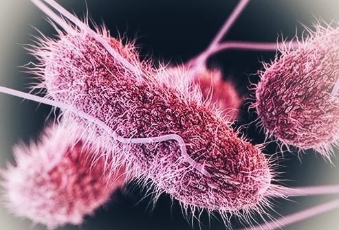 Измененное изображение сальмонеллы 