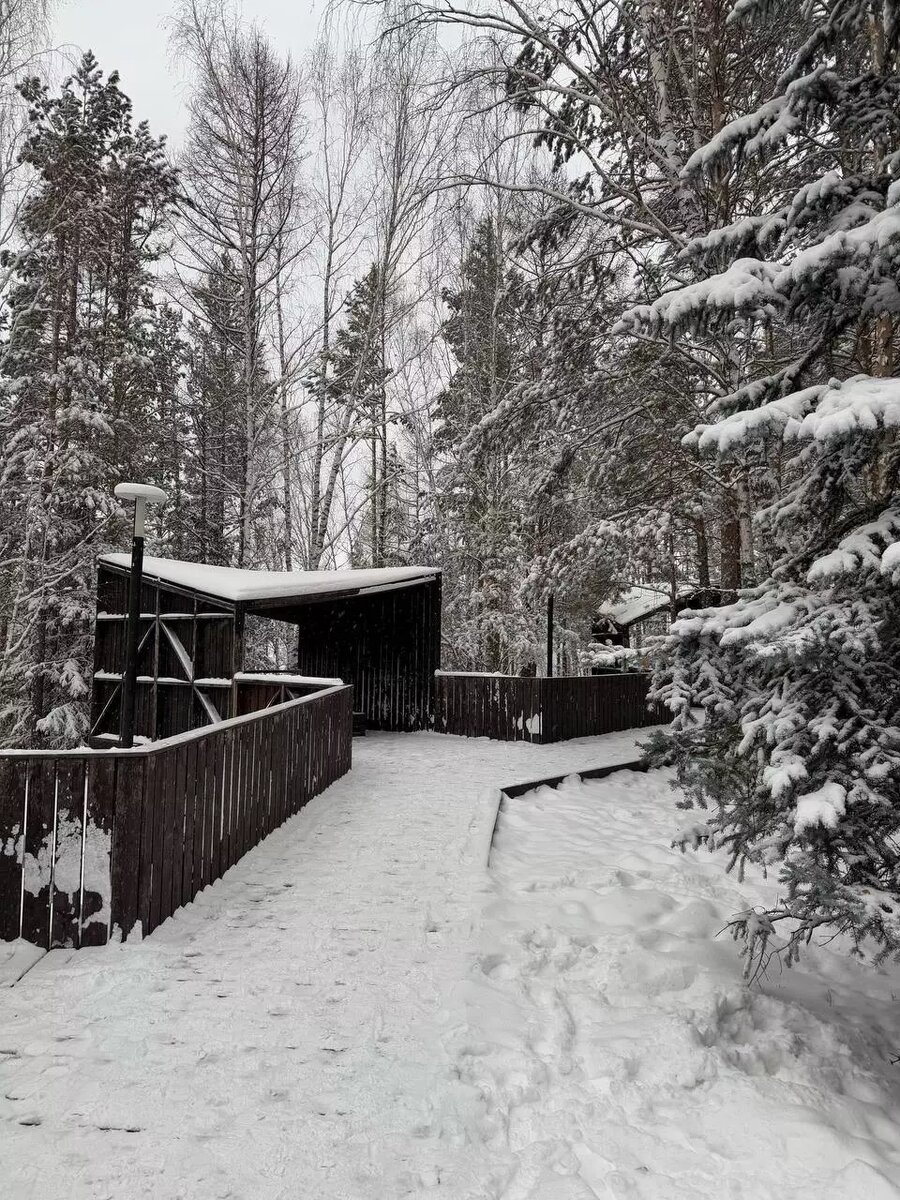     Источник: t.me/modno15minut